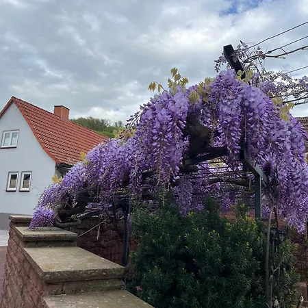 Kroenchen Großheubach