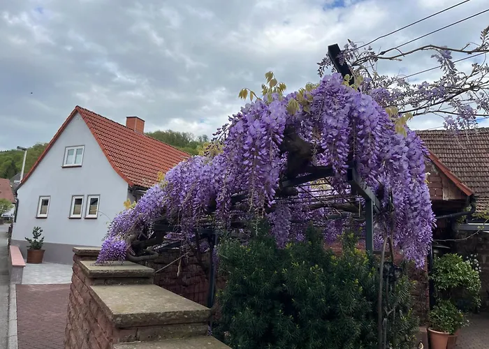 Kroenchen Großheubach